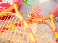 Speedminton-image-sets-235